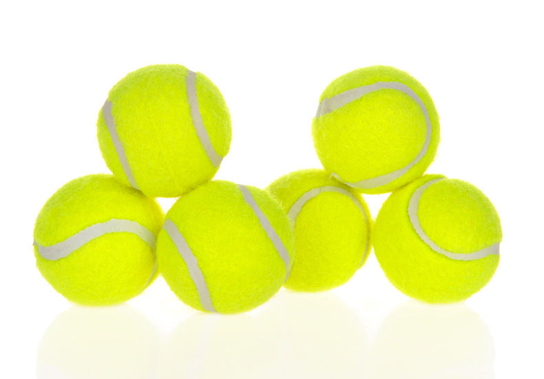 Smart Dog Ball Launcher Fetch Toy