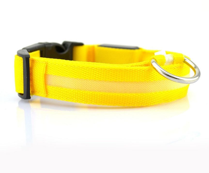 LED Night-Walk Pet Neon Collar