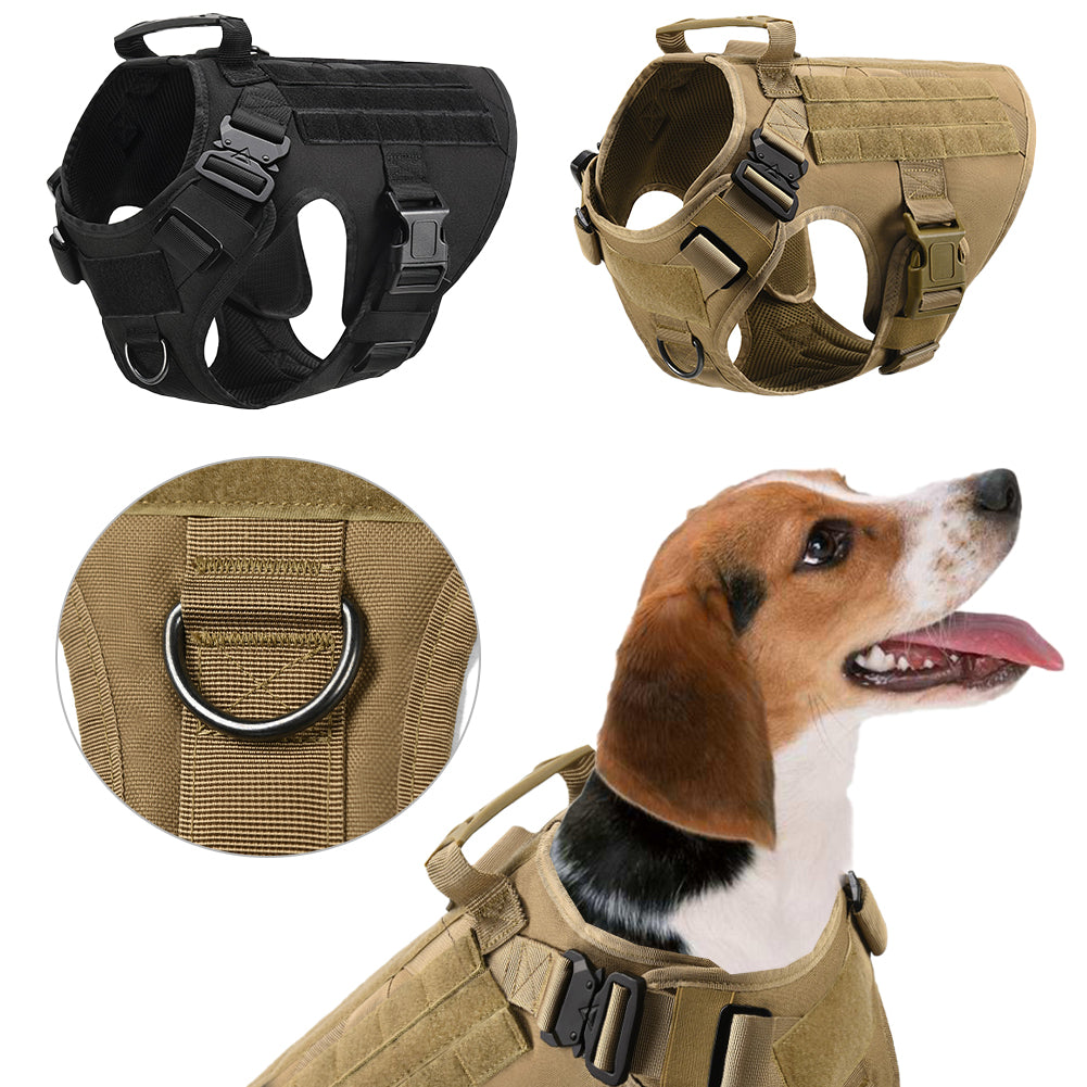 Pet Apparels