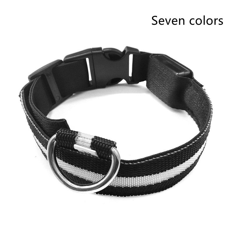 LED Night-Walk Pet Neon Collar
