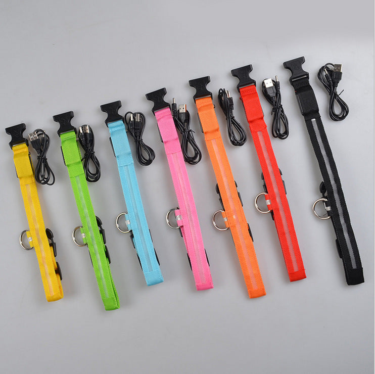 LED Night-Walk Pet Neon Collar