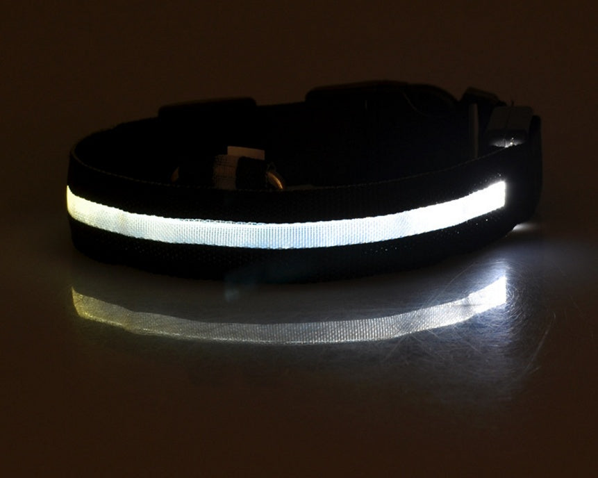 LED Night-Walk Pet Neon Collar
