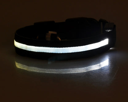 LED Night-Walk Pet Neon Collar