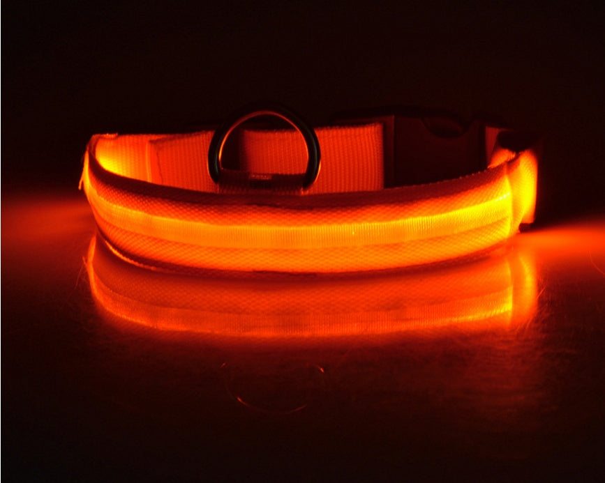 LED Night-Walk Pet Neon Collar