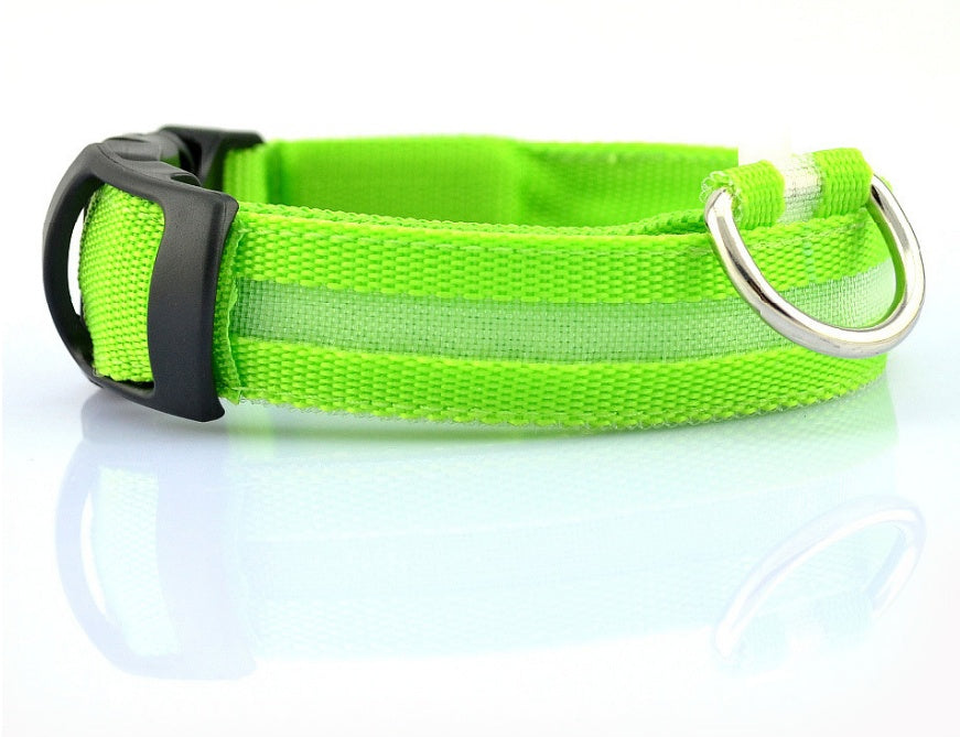 LED Night-Walk Pet Neon Collar