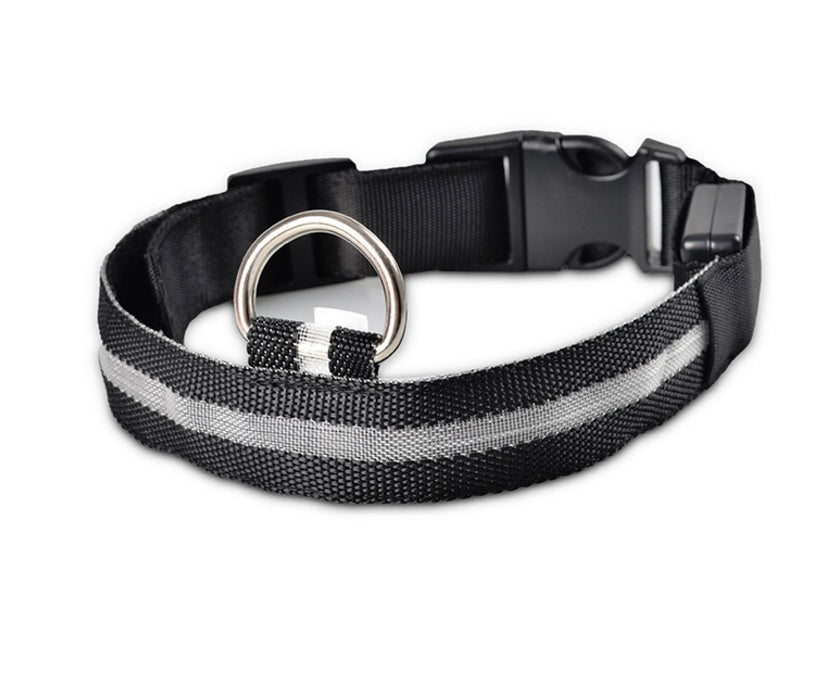 LED Night-Walk Pet Neon Collar