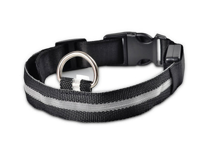 LED Night-Walk Pet Neon Collar