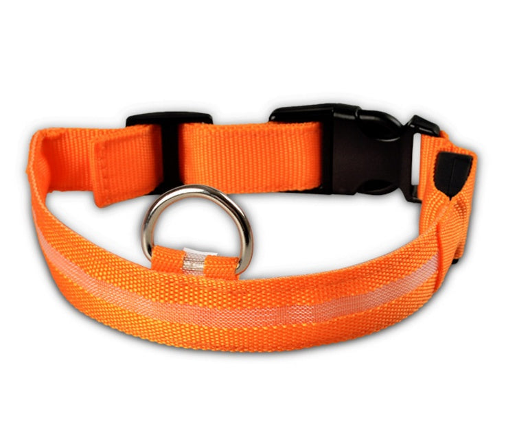 LED Night-Walk Pet Neon Collar