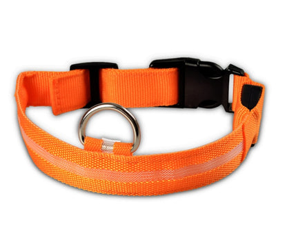 LED Night-Walk Pet Neon Collar