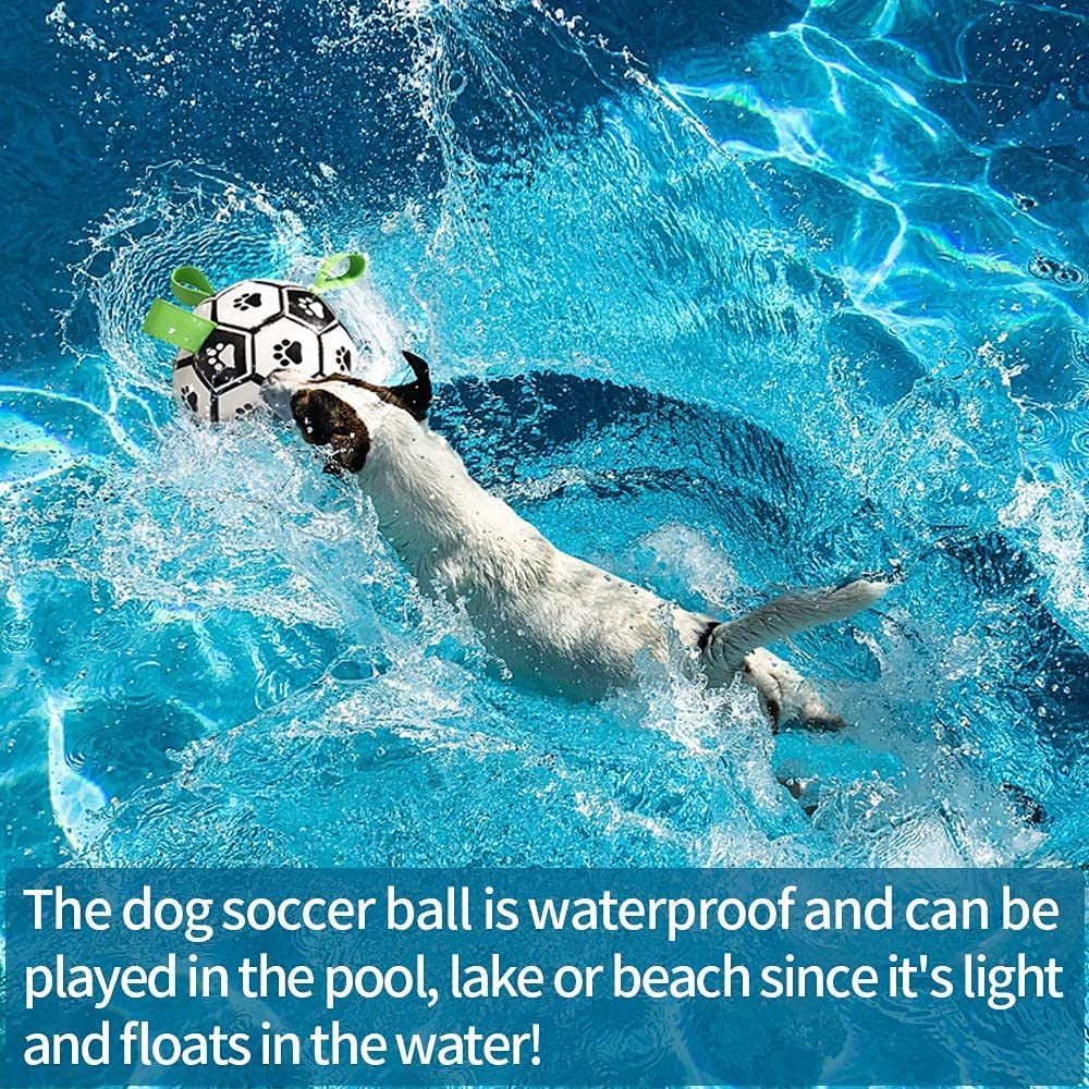 Interactive Dog Football with Straps