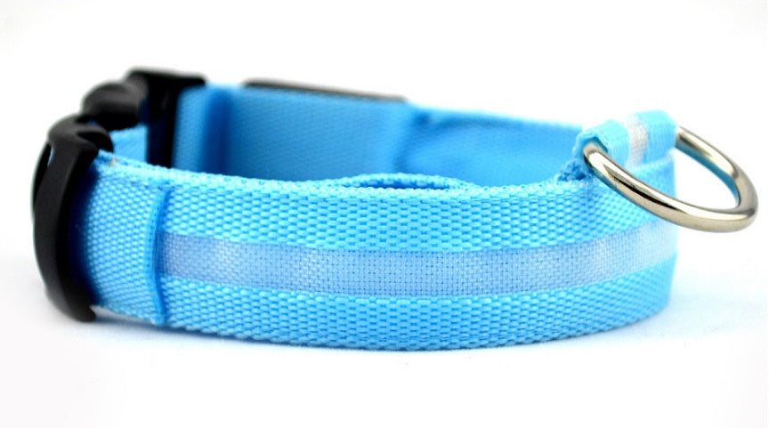 LED Night-Walk Pet Neon Collar