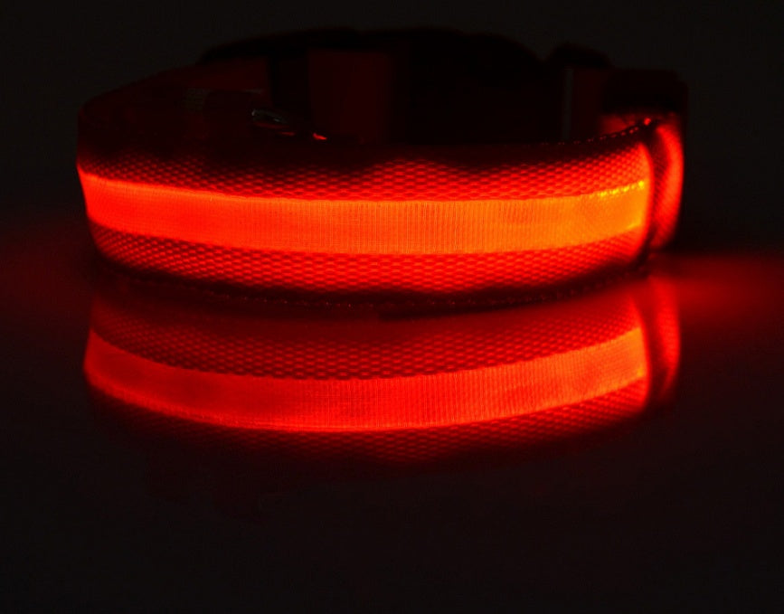LED Night-Walk Pet Neon Collar