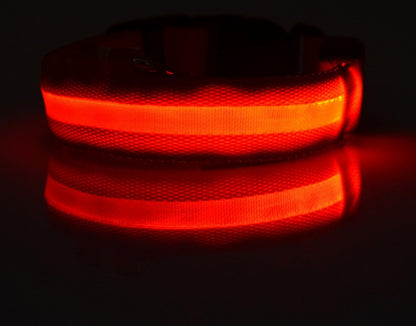 LED Night-Walk Pet Neon Collar