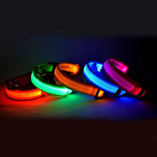 LED Night-Walk Pet Neon Collar