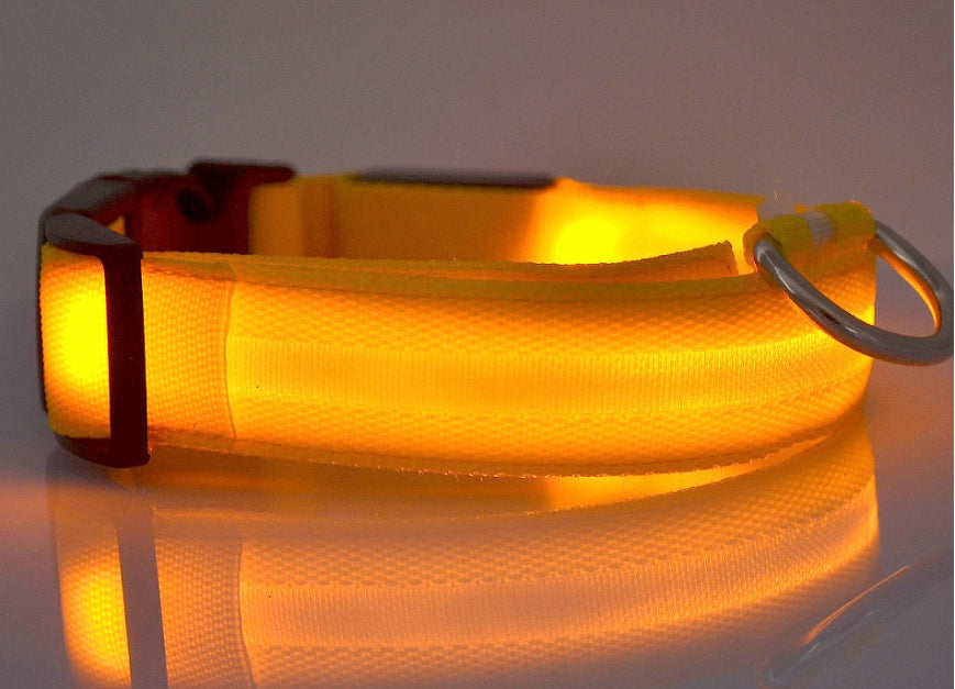 LED Night-Walk Pet Neon Collar
