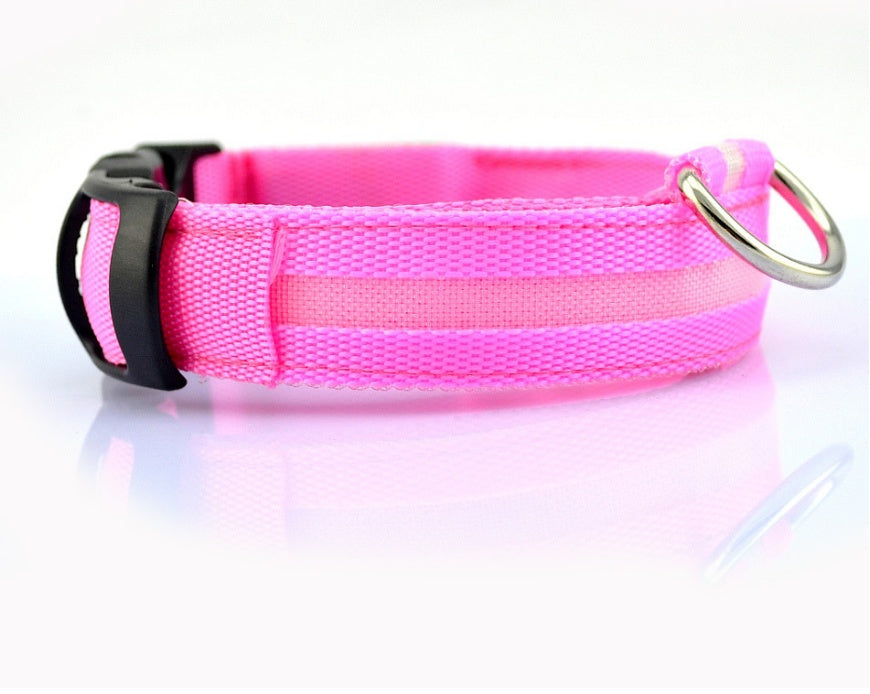 LED Night-Walk Pet Neon Collar