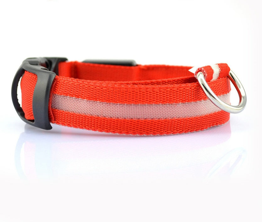 LED Night-Walk Pet Neon Collar
