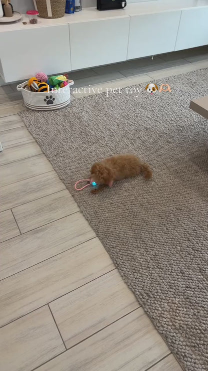 PawLuxe™ Interactive Rolling Pet Toy