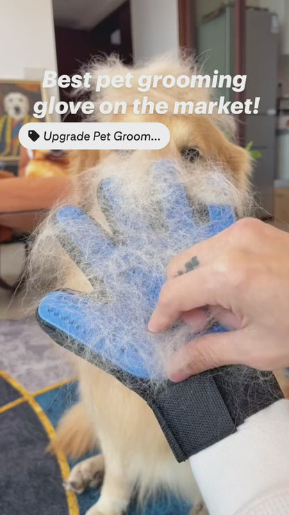 Soft Pet Hair Removal Mittens Buy 1 Get 1 Free
