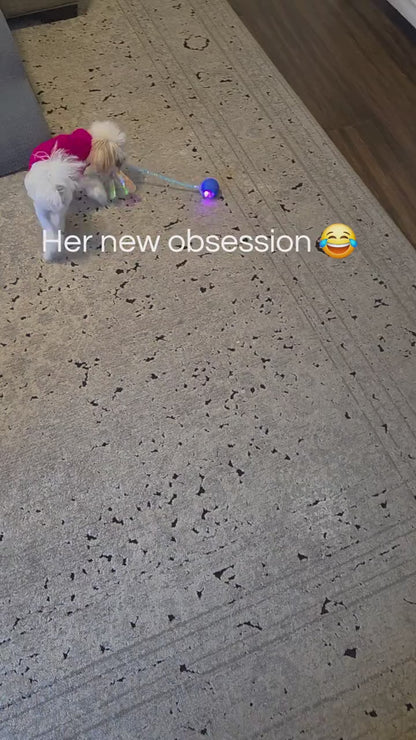 PawLuxe™ Interactive Rolling Pet Toy