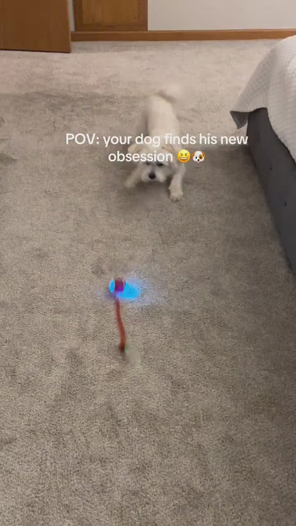 PawLuxe™ Interactive Rolling Pet Toy